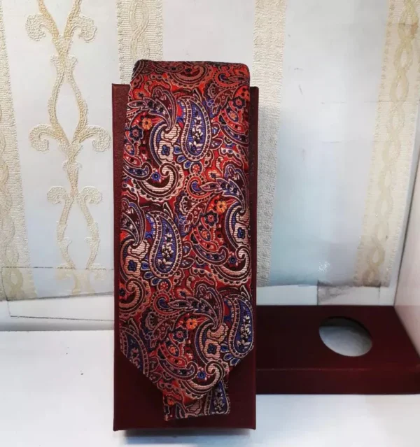 Heren veelkleurige Paisley stropdas